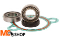 HOT RODS WPK0051 ZESTAW NAPRAWCZY POMPY WODY KTM
